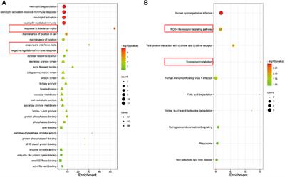 Identification of a lncRNA AC011511.5- Mediated Competitive Endogenous RNA Network Involved in the Pathogenesis of Allergic Rhinitis